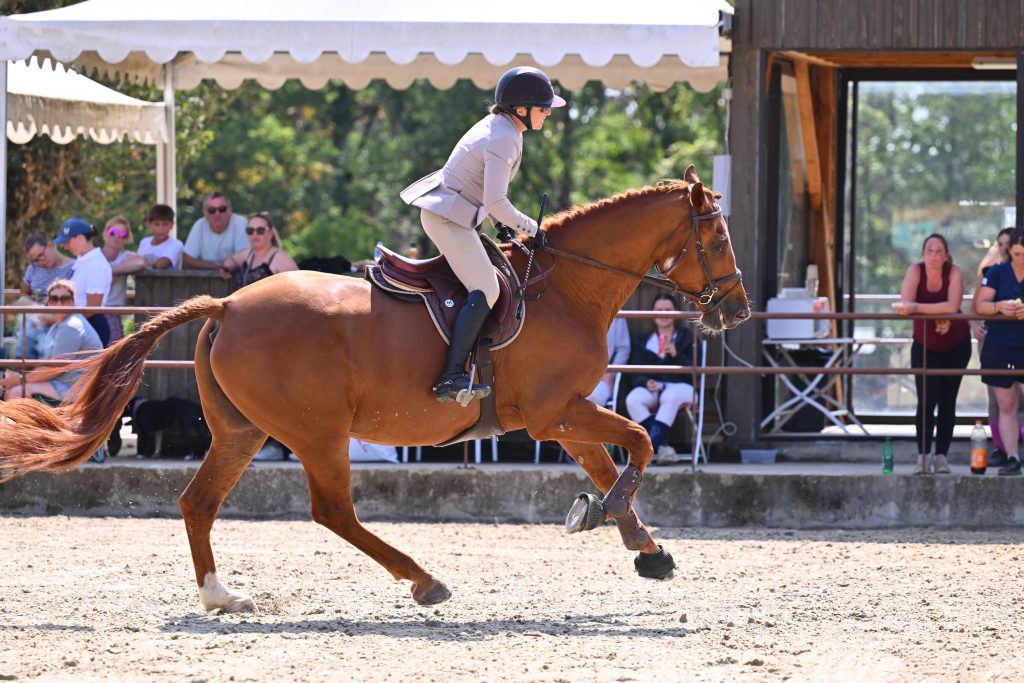 hunter_ecuries-des-muriers